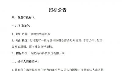 合肥贝斯特全球最奢华的游戏平台电镀锌售卖招标公告